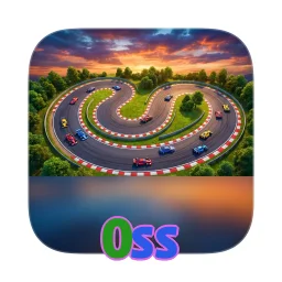 0ss